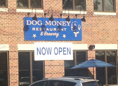 dog money photo
